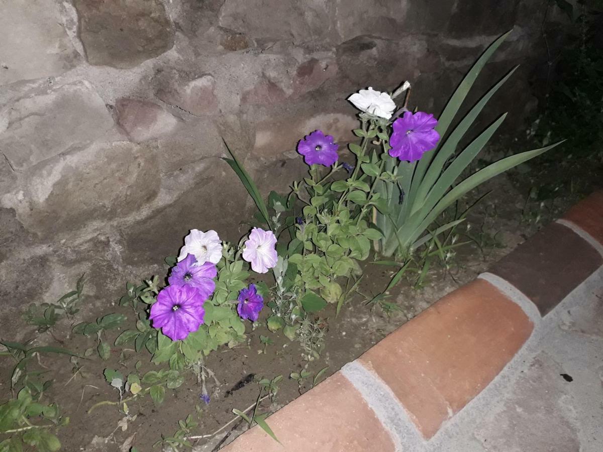 Hotel Rabati Achalciche Zewnętrze zdjęcie